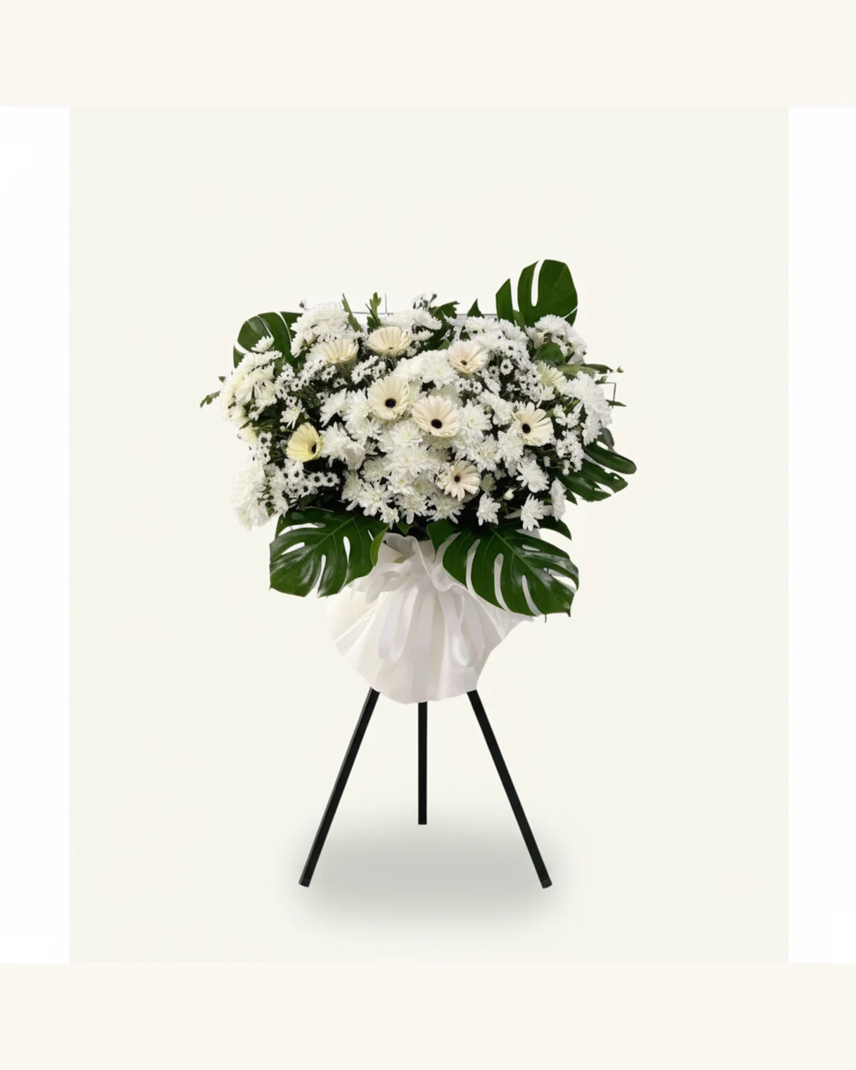 白色菊花龜背竹悼念花架 — 白色菊花、白色小菊、龜背竹葉、白色包裝紙