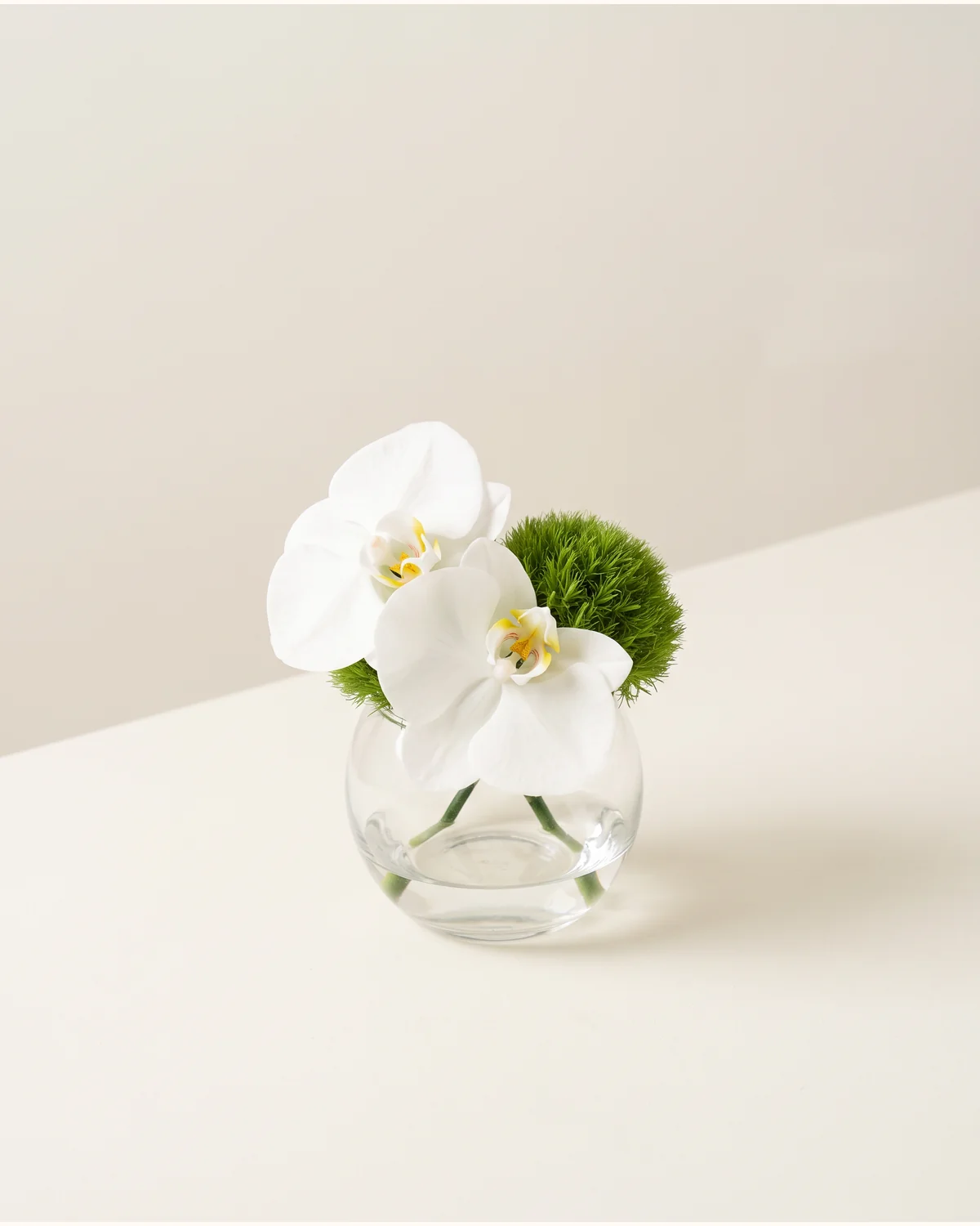 White Orchid and Green Accent Mini Vase — white Phalaenopsis orchids, green trick dianthus, small clear glass vase