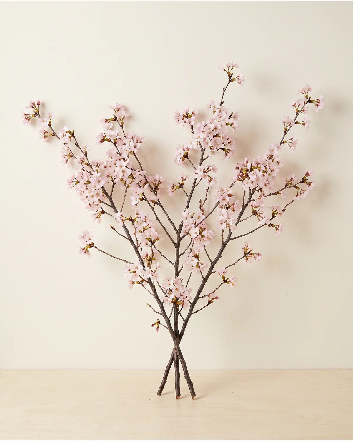 Keio Cherry Blossom Trio — three fresh-cut Keio cherry blossom branches, natural branch form