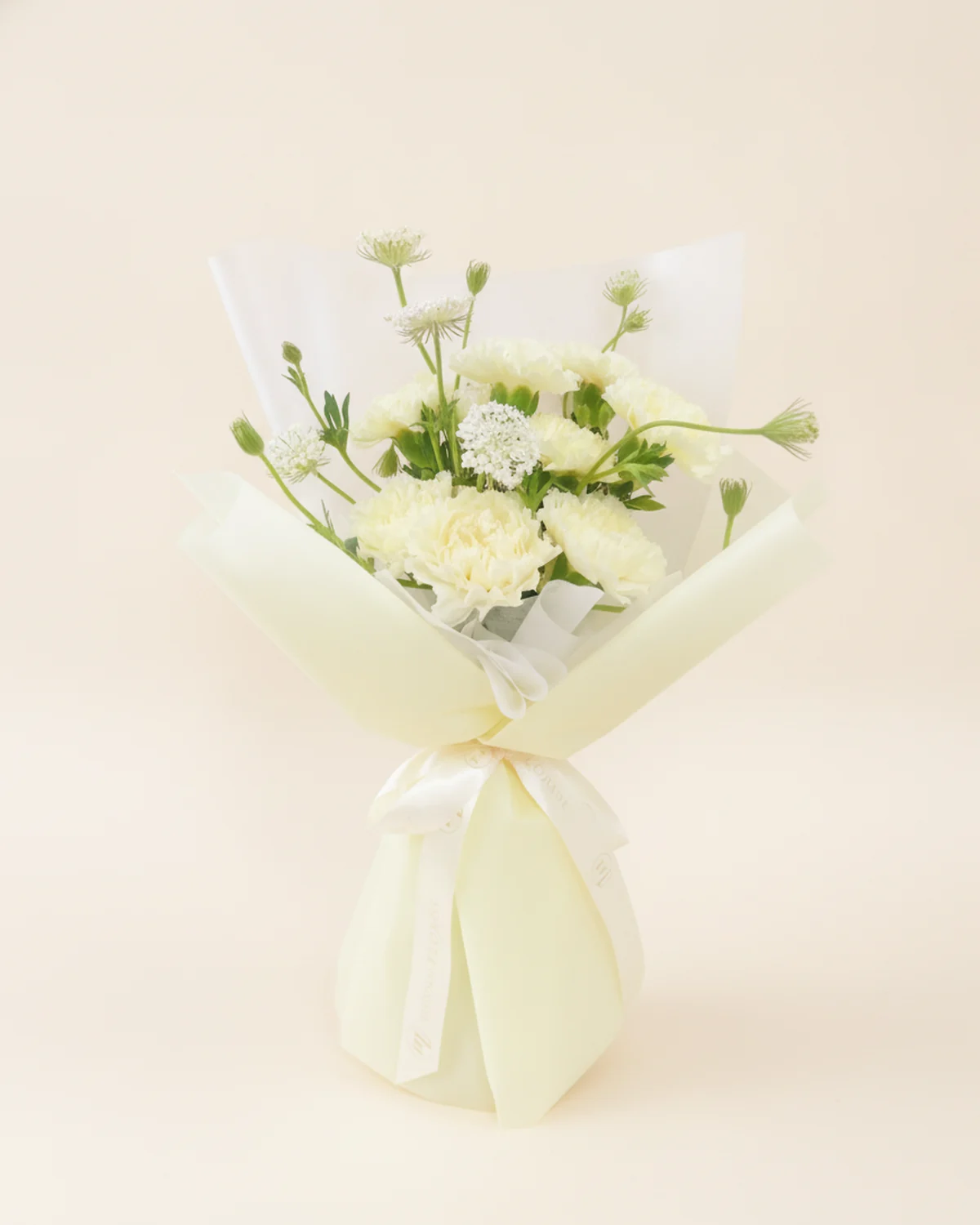 Green Embrace Bouquet — Carnations, Trachelium