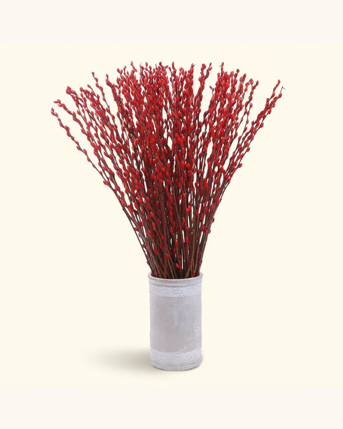 新年落日紅銀柳盆栽 (約50-60cm) — 落日紅銀柳、灰色裝飾花瓶