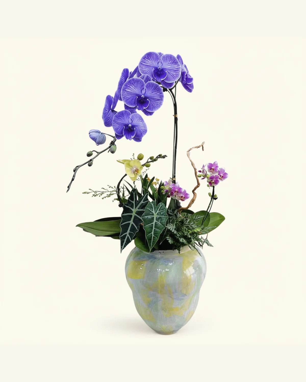 紫韻蘭花綜合盆景 — 蘭花、綠葉及襯材（圖片款式參考；實際配置請查詢確認）、光澤裝飾花器（圖片款式參考；實際配置請查詢確認）