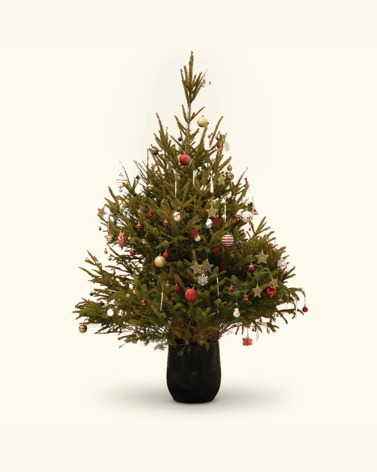 150cm Decorated Spruce Christmas Tree — Real Spruce Christmas Tree, Red Baubles, Gold Baubles, Snowflake Ornaments, Star Ornaments, Black Pot