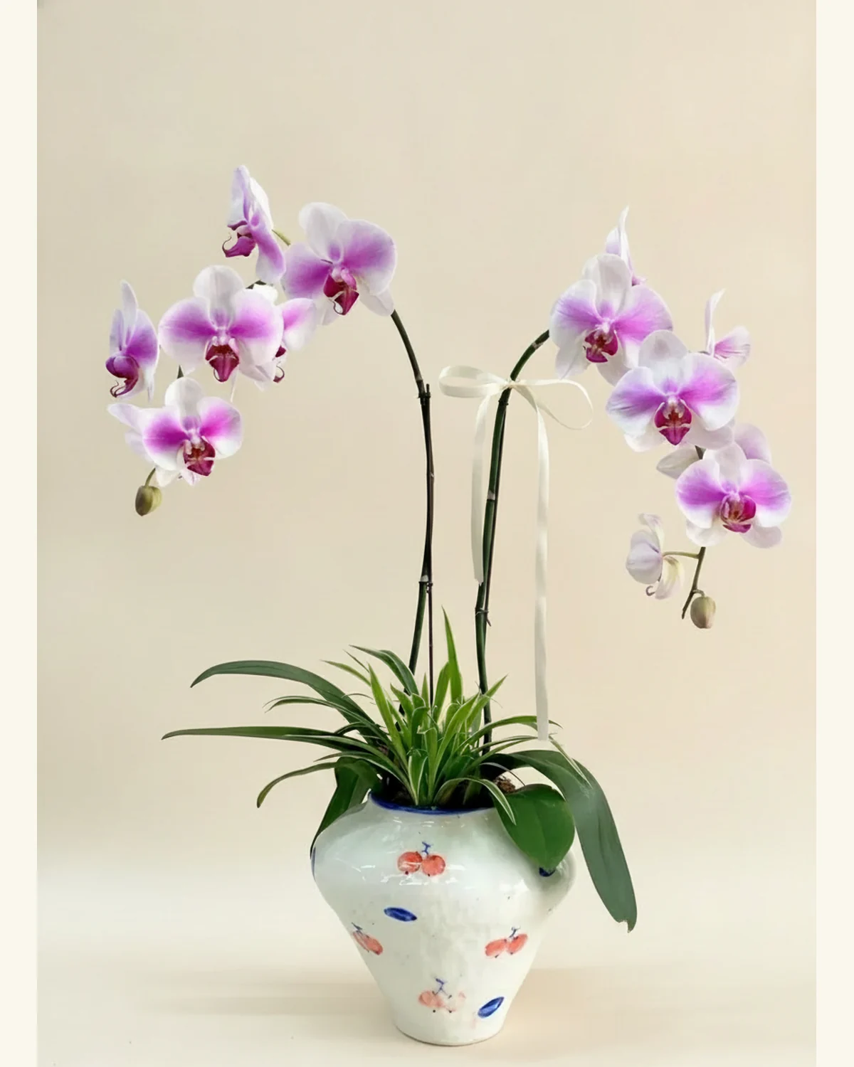 粉紫蝴蝶蘭手繪瓷盆景 — 蝴蝶蘭、綠葉植物（圖片款式參考；實際配置請查詢確認）、手繪陶瓷花盆（圖片款式參考；實際配置請查詢確認）、緞帶裝飾（相片造型參考）