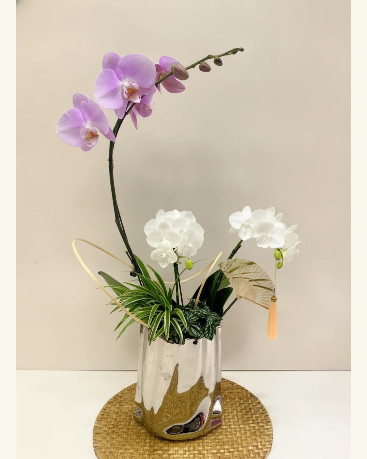 紫白蝴蝶蘭雅緻組盆 — 淡紫色蝴蝶蘭、白色蝴蝶蘭、綠葉與斑葉襯材、圖片所示銀色圓筒盆及扇形點綴