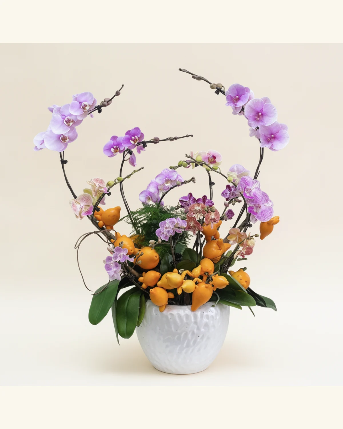 雅紫蘭花盆景 — 蘭花、觀葉植物（圖片款式參考；實際配置請查詢確認）、陶瓷花器（圖片款式參考；實際配置請查詢確認）、相片造型參考配飾