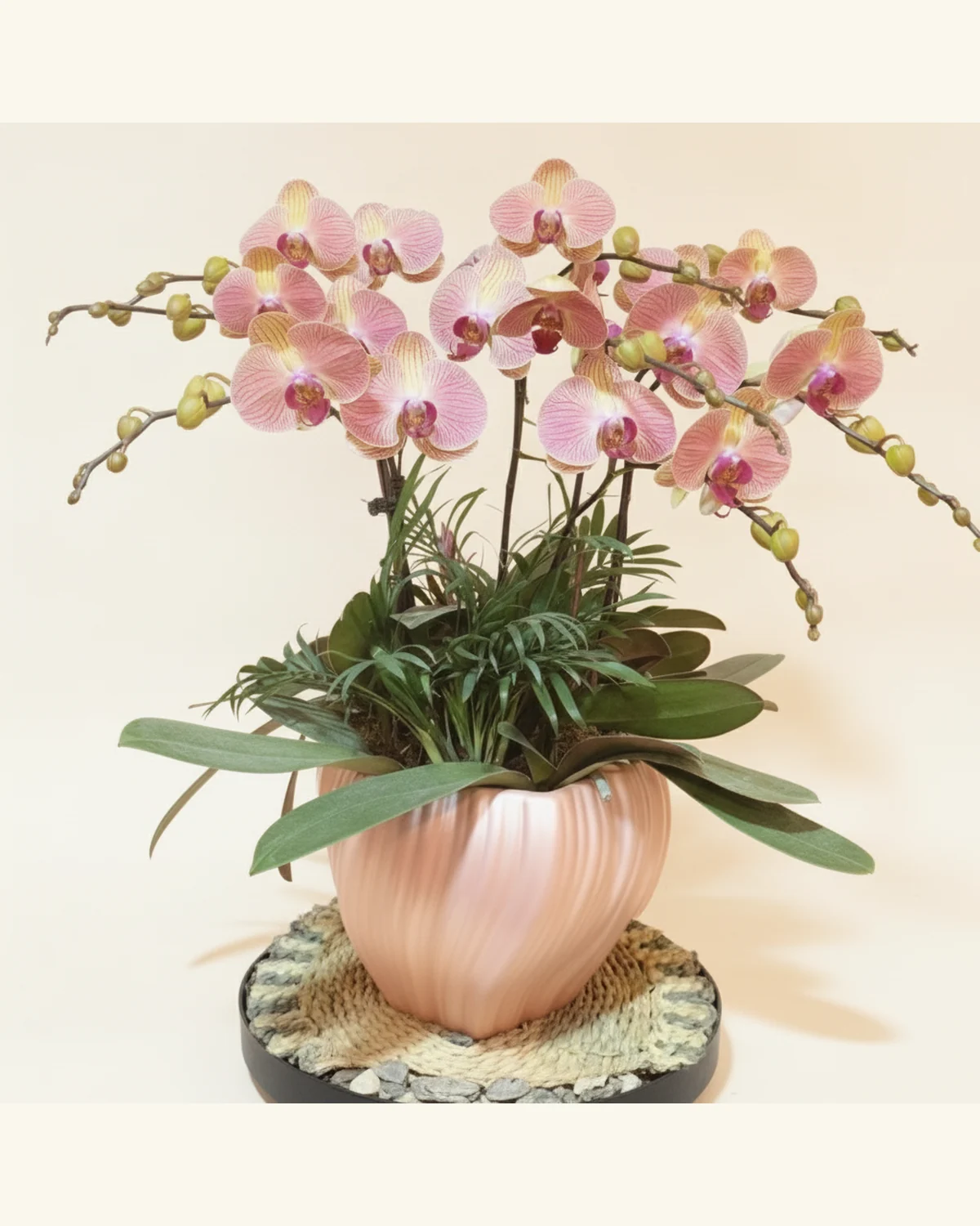 粉紋蝴蝶蘭雅緻盆栽 — 粉紅蝴蝶蘭、綠葉襯材（圖片款式參考；實際配置請查詢確認）