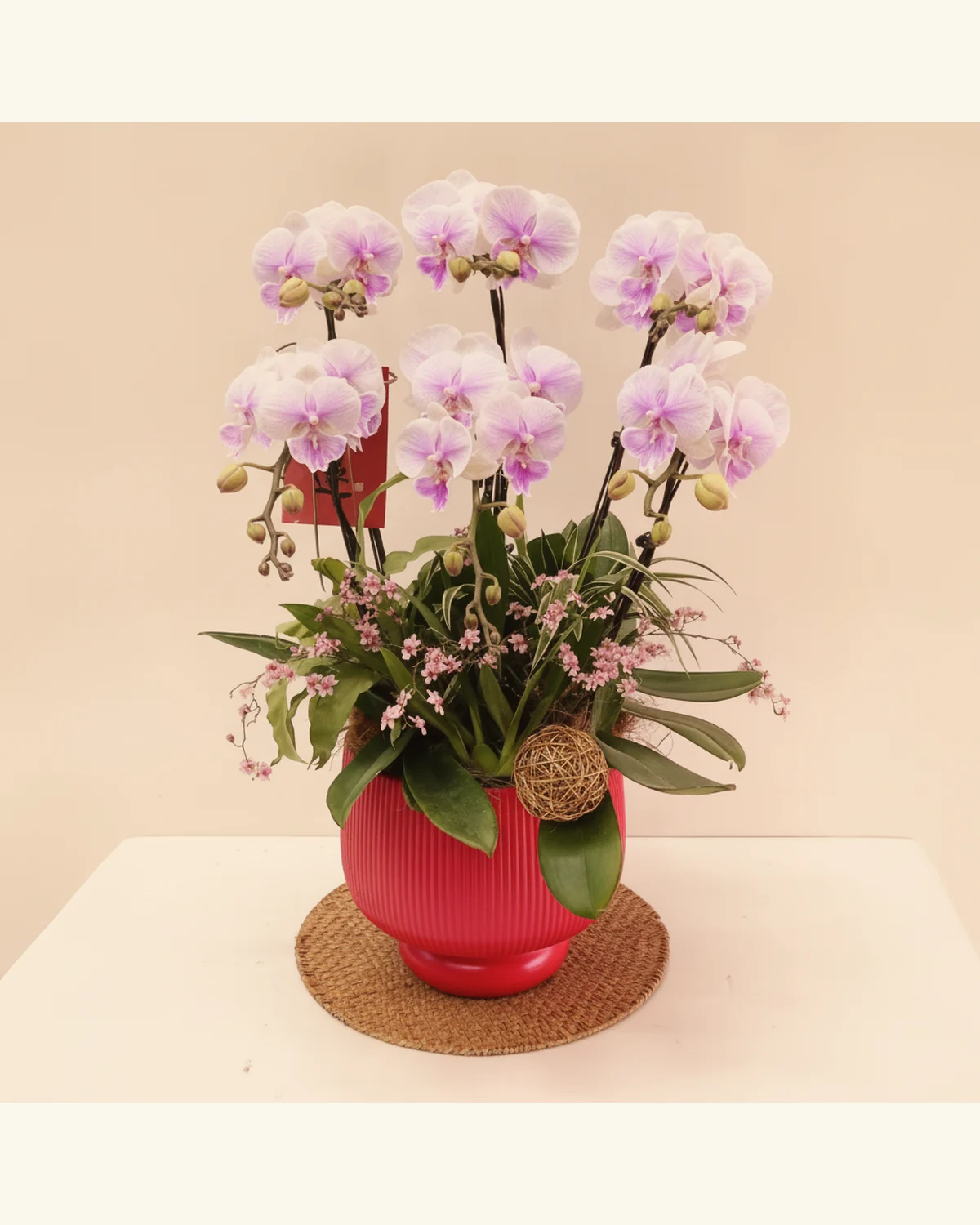 粉紫蝴蝶蘭雅緻盆栽 — 粉紫色蝴蝶蘭（蘭花）、綠葉及粉色配花（圖片款式參考；實際配置請查詢確認）、紅色紋理盆器（圖片款式參考；實際配置請查詢確認）、藤編裝飾球及圓形編織墊（僅作相片造型參考）