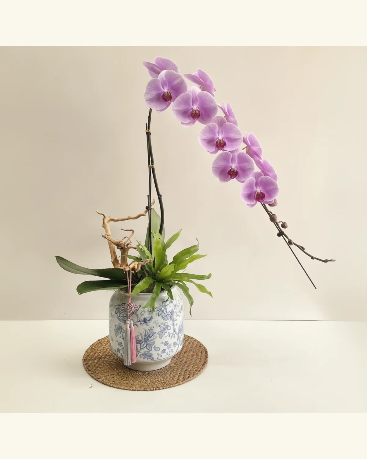 紫韻雅瓷蝴蝶蘭盆景 — 紫粉色蝴蝶蘭，花瓣帶柔和深淺暈染、深淺綠色葉材與自然枝木造景、圖片所示藍白花紋圓筒花器、圖片所示流蘇與圓形編織墊為款式畫面元素