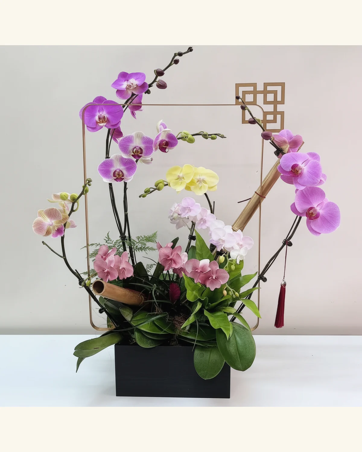 繽紛蝴蝶蘭雅緻盆景 — 多色蝴蝶蘭、襯葉植物（圖片款式參考；實際配置請查詢確認）