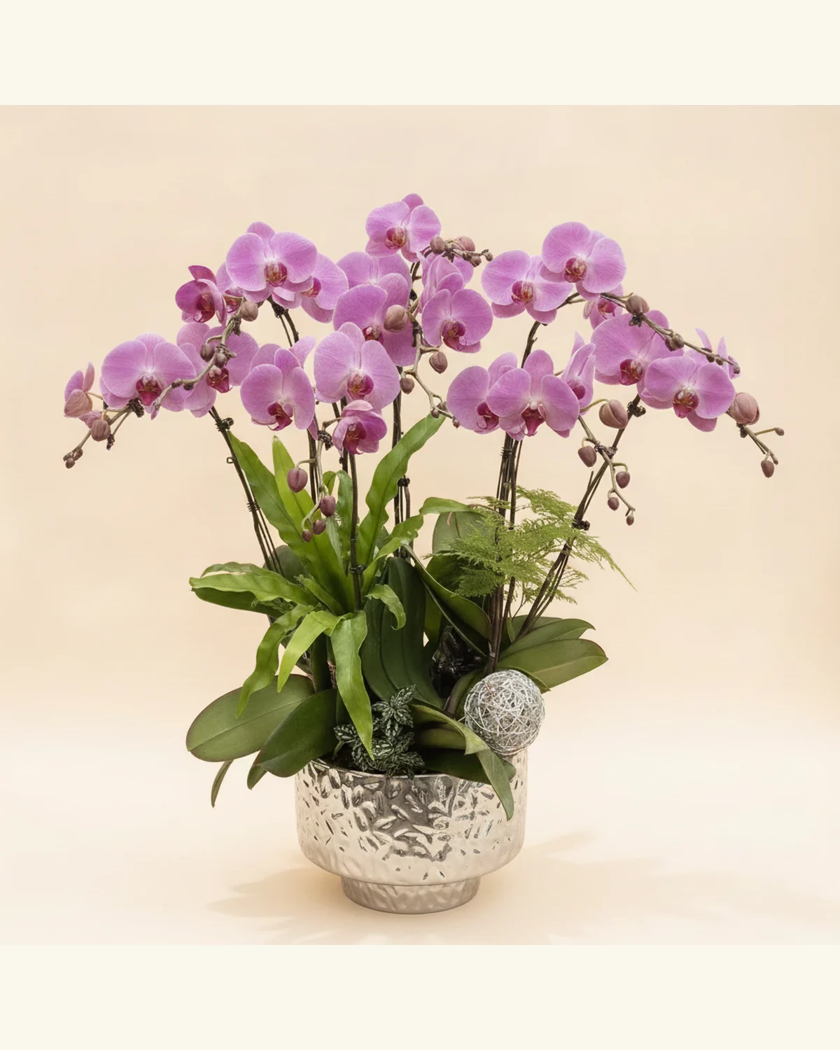 紫粉蝴蝶蘭拱枝花藝 — 紫粉色蝴蝶蘭、綠葉襯材（圖片款式參考；實際配置請查詢確認）