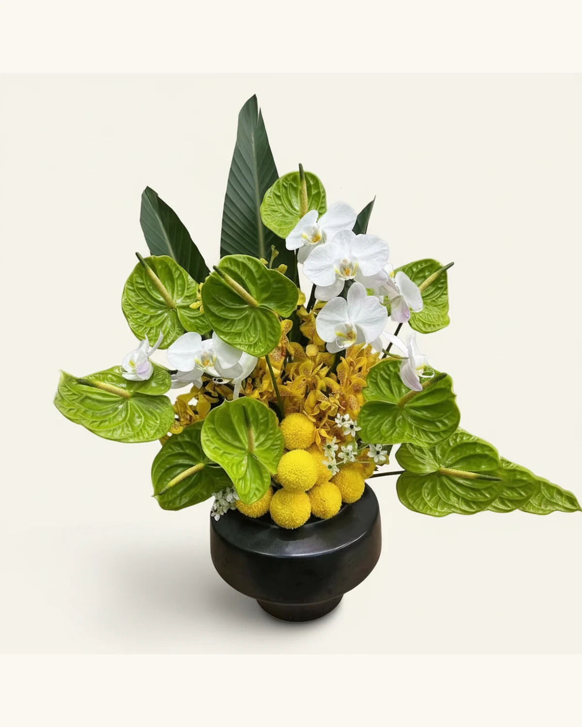 白色蝴蝶蘭與綠掌盆栽花藝 — 白色蝴蝶蘭、綠色掌類花材、黃色蘭花、黃色球形菊、白色小配花、深綠葉材、黑色陶瓷盆
