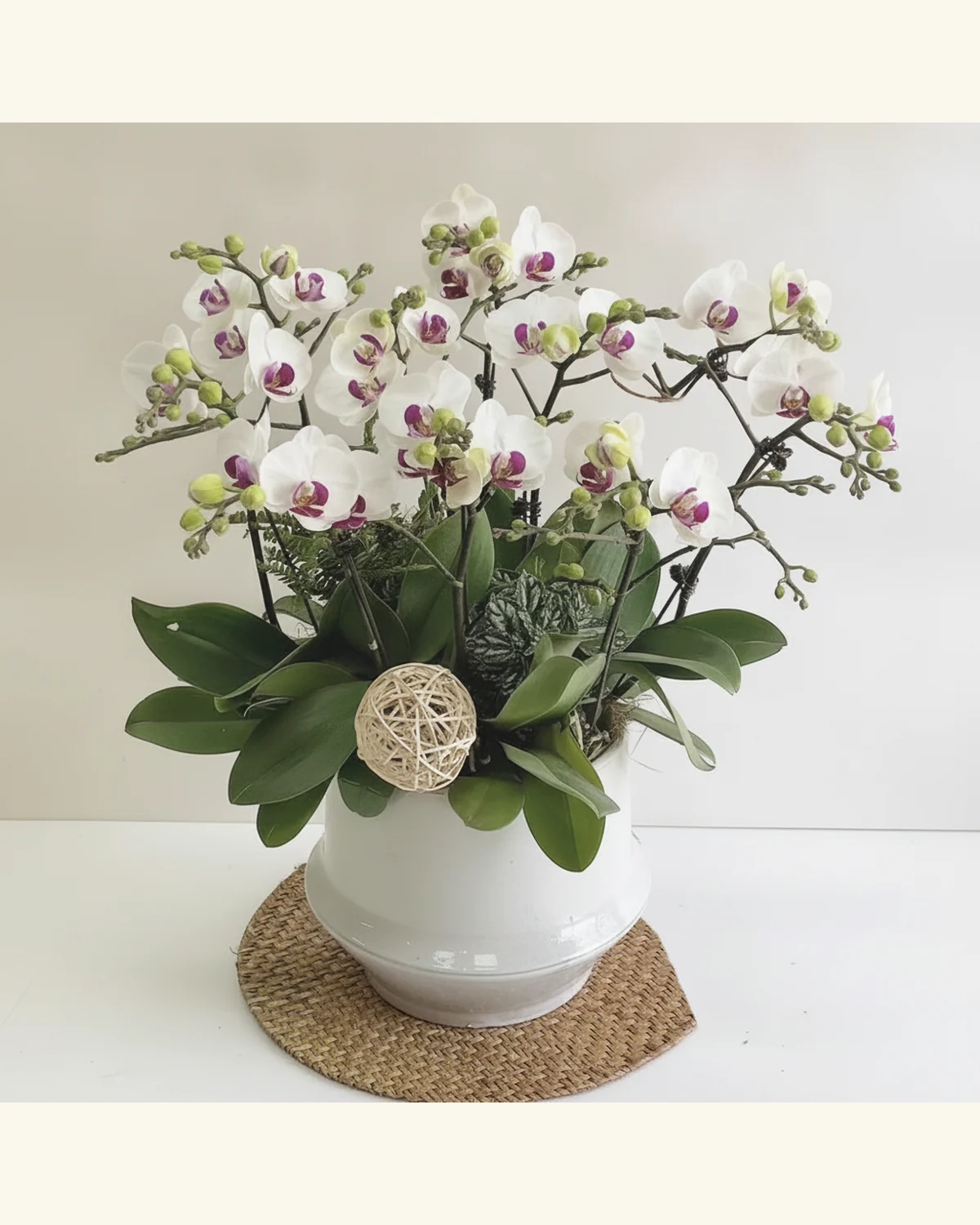 白蝴蝶蘭雅緻花藝 — 白色蝴蝶蘭（紫紅色唇瓣）、綠色葉材（圖片款式參考；實際配置請查詢確認）、相片可見的白色器皿、藤編球及編織底墊僅作造型參考，不承諾隨附