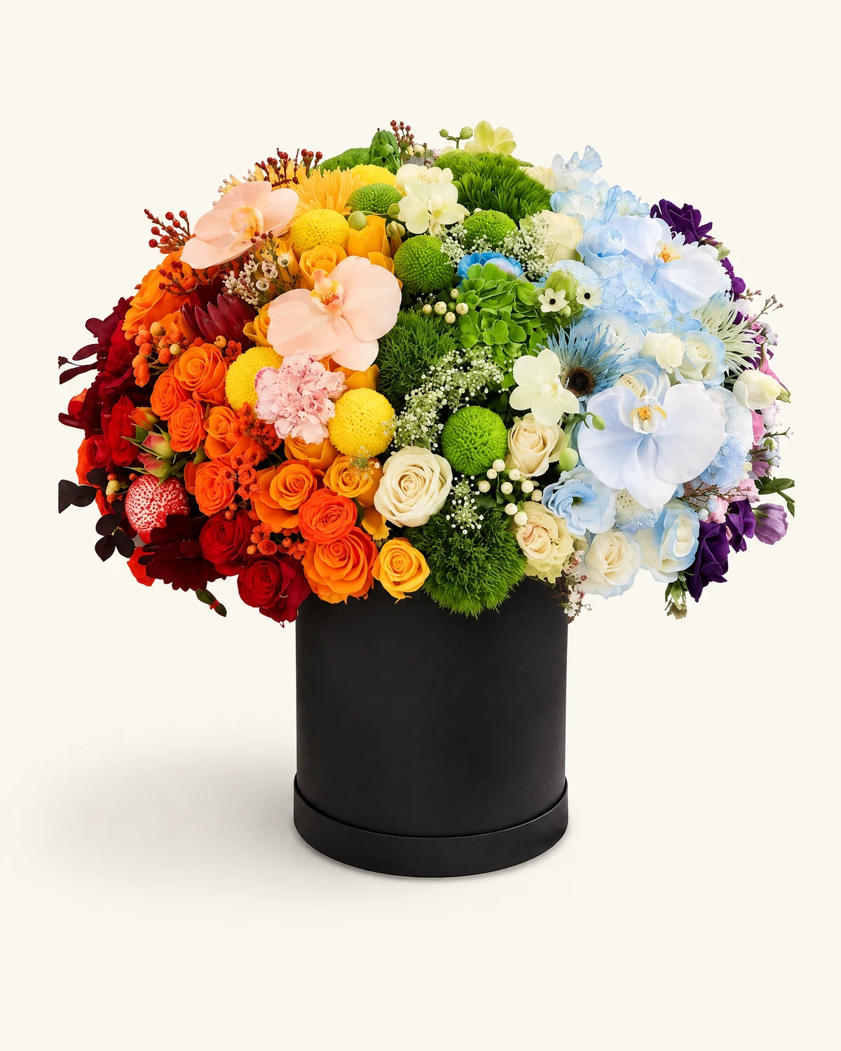 Multicolour Mixed-Flower Cylinder Arrangement — Phalaenopsis orchids, Roses, Hydrangeas, Pompon chrysanthemums, Baby's breath, Green foliage and filler flowers